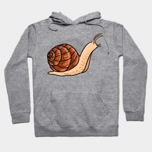 Snail Hoodie
